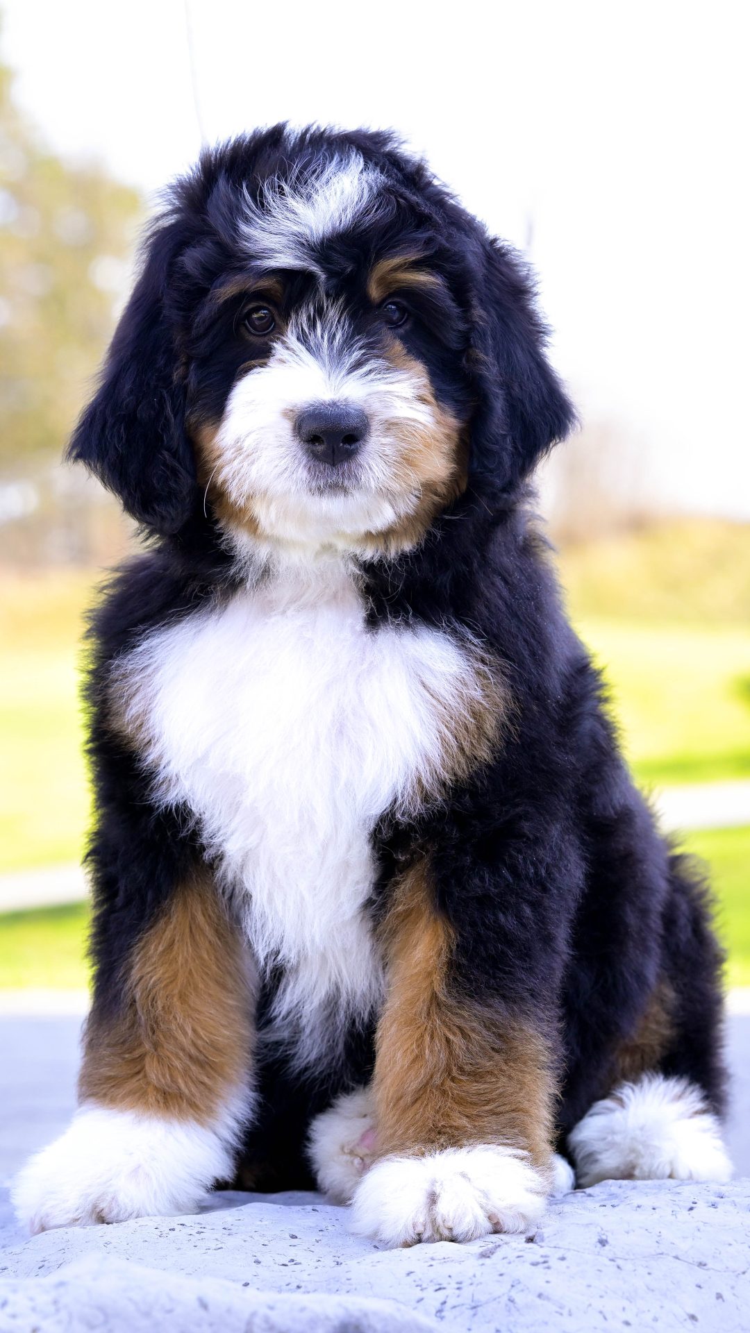 Berkley