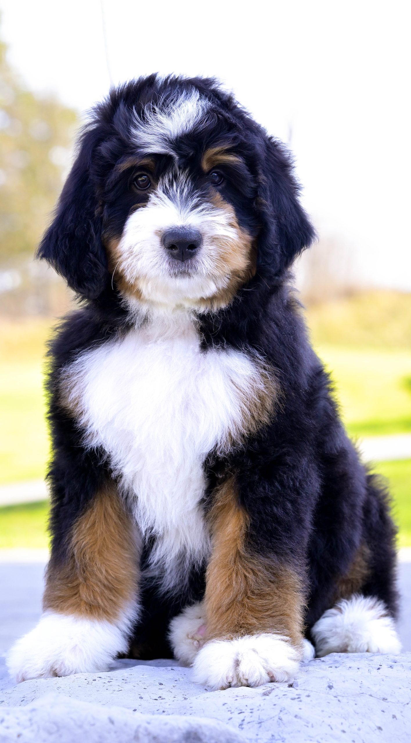 Berkley