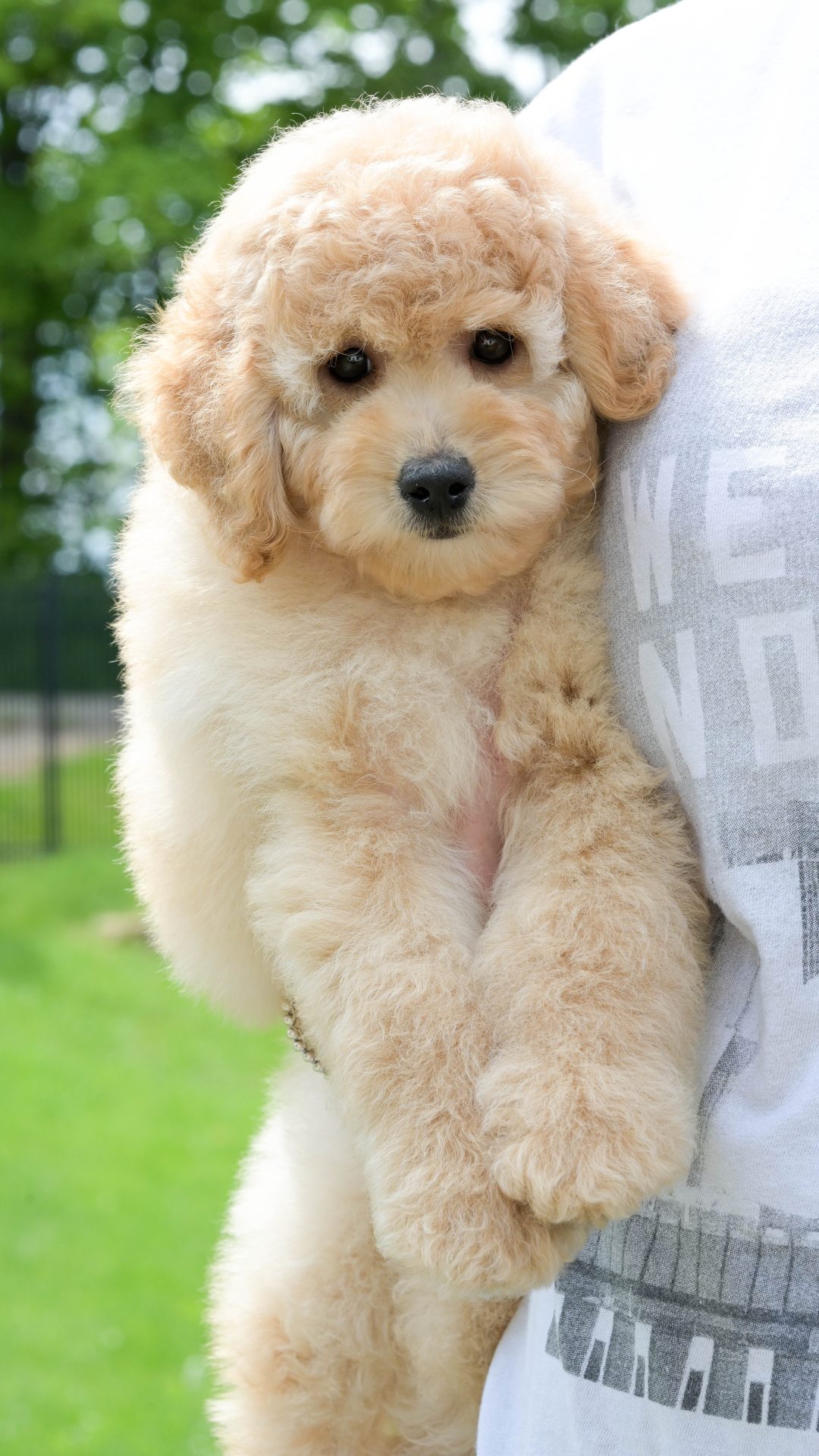 Bobbi