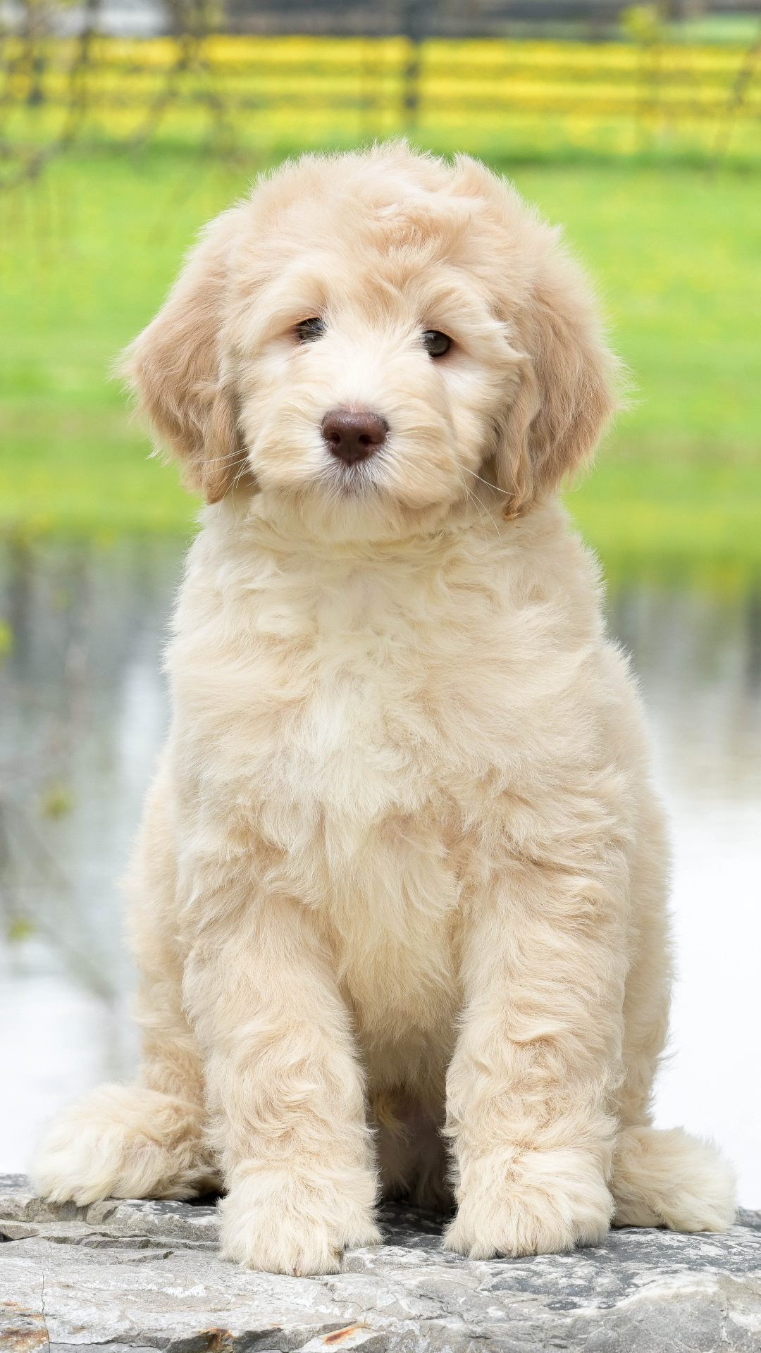 Stanley