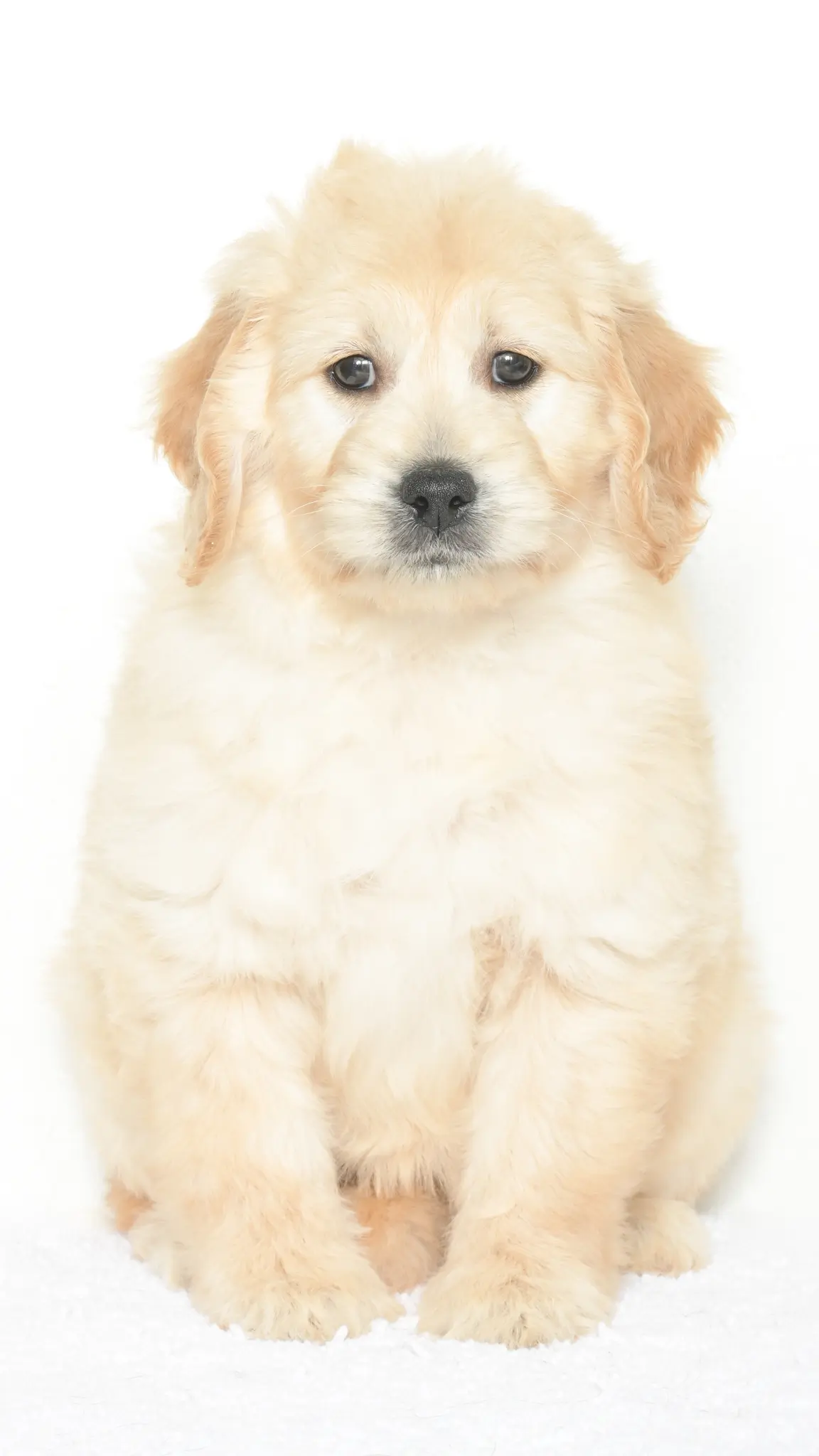 Daenerys – Female #3