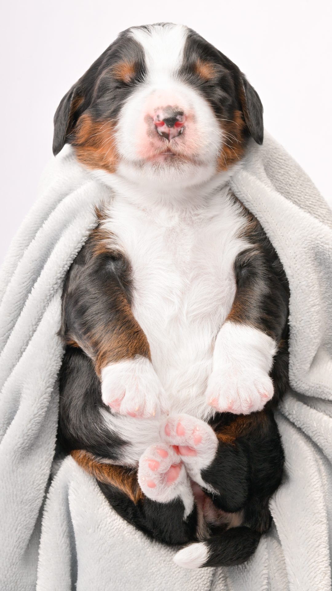 Delilah – Female #1