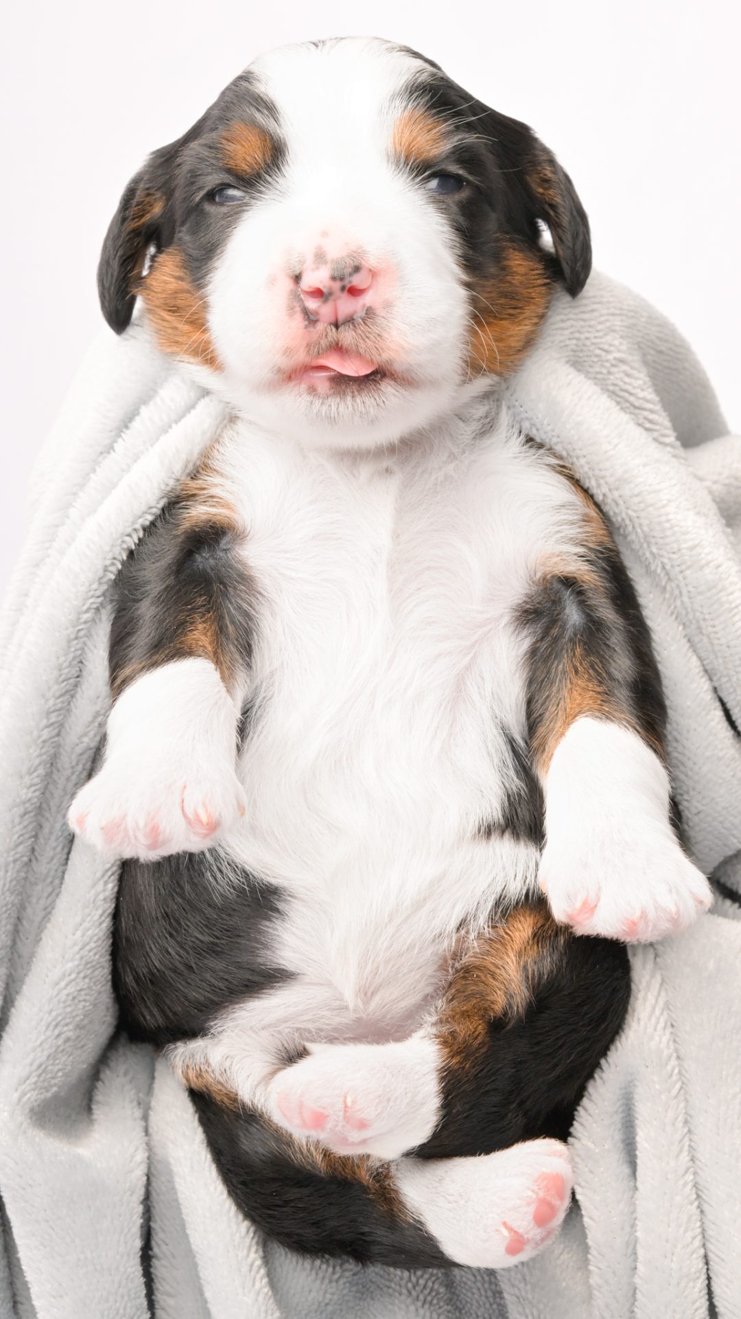 Delilah – Female #3