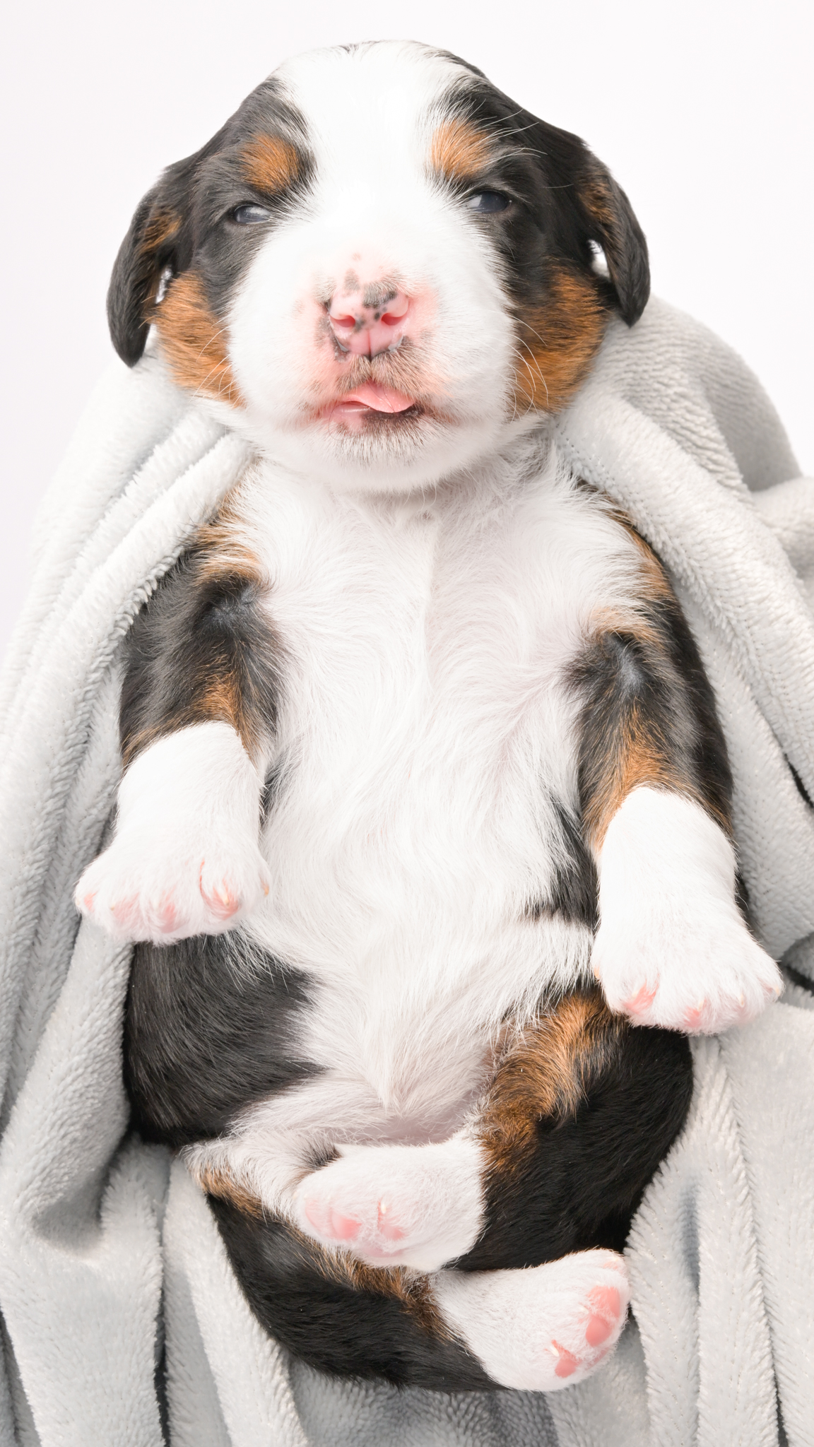 Delilah – Female #3