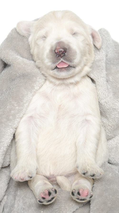 Dior – Male #1