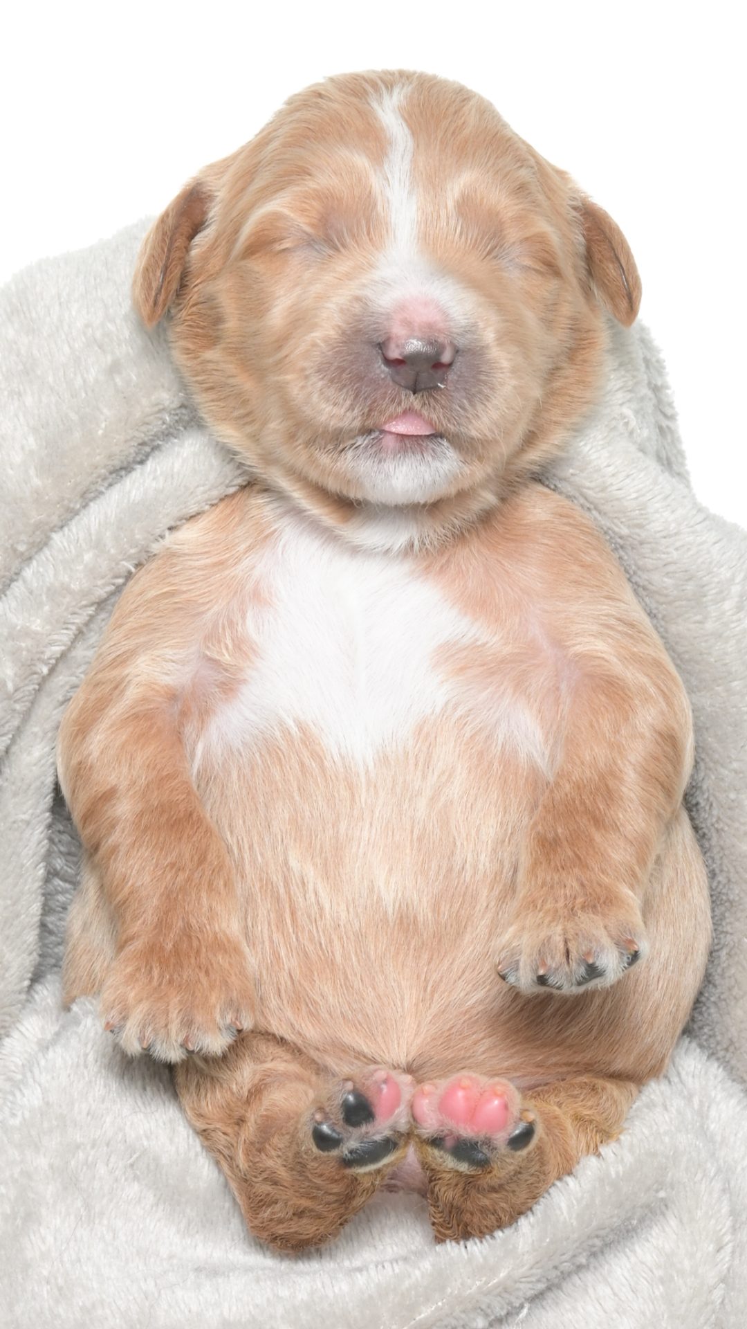 Henley – Female #1