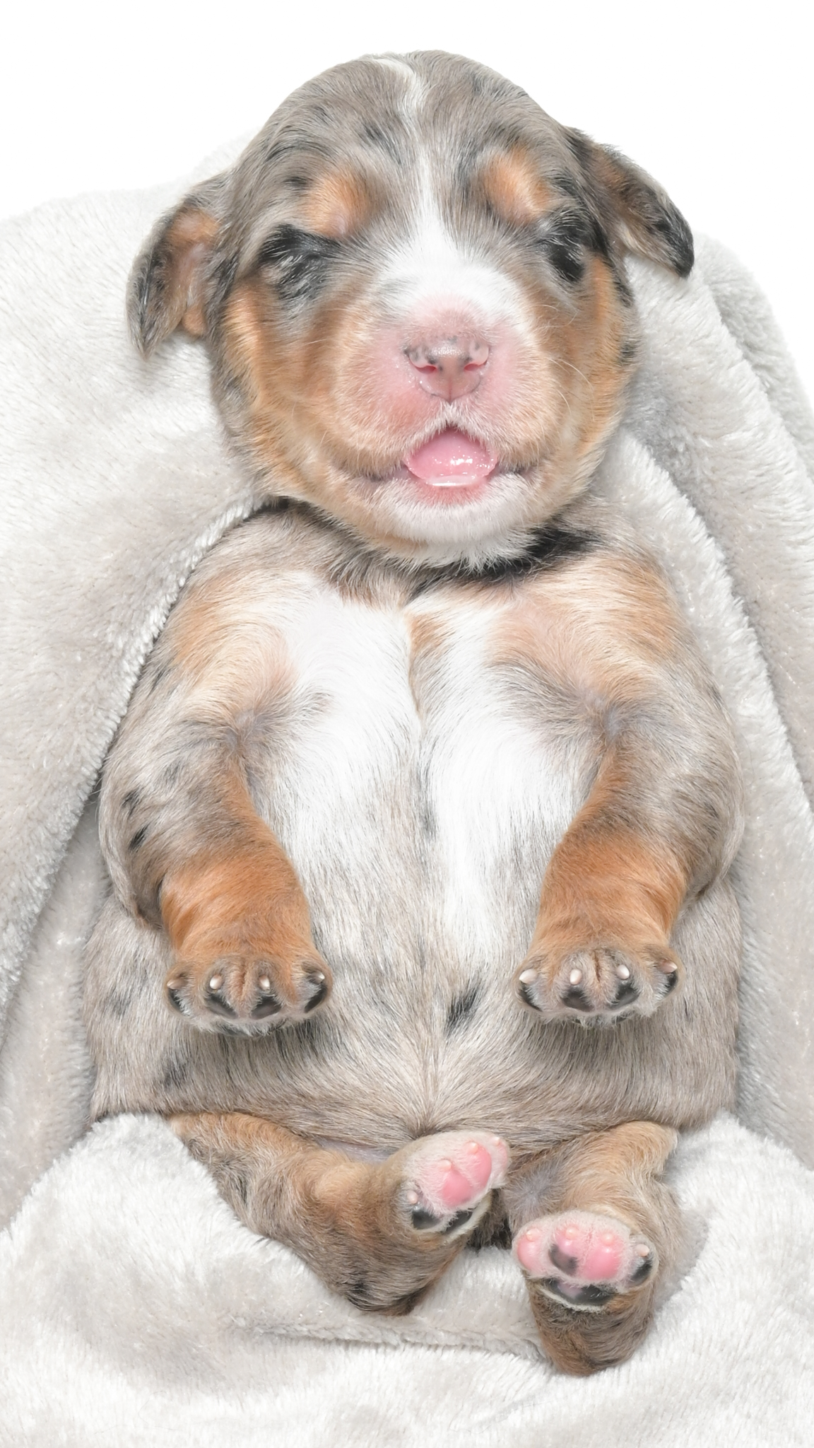 Henley – Female #3