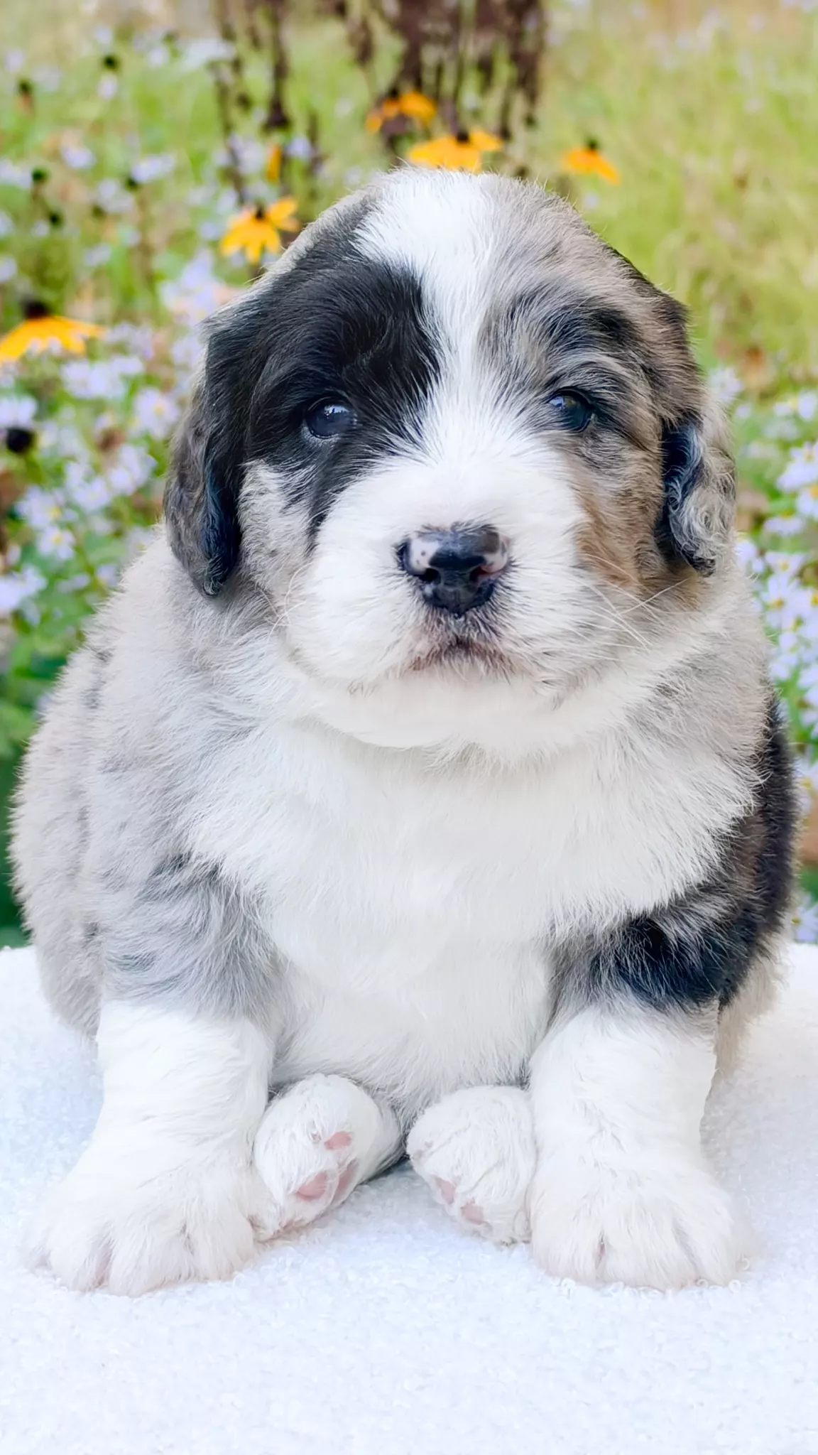 Navy – Male #2