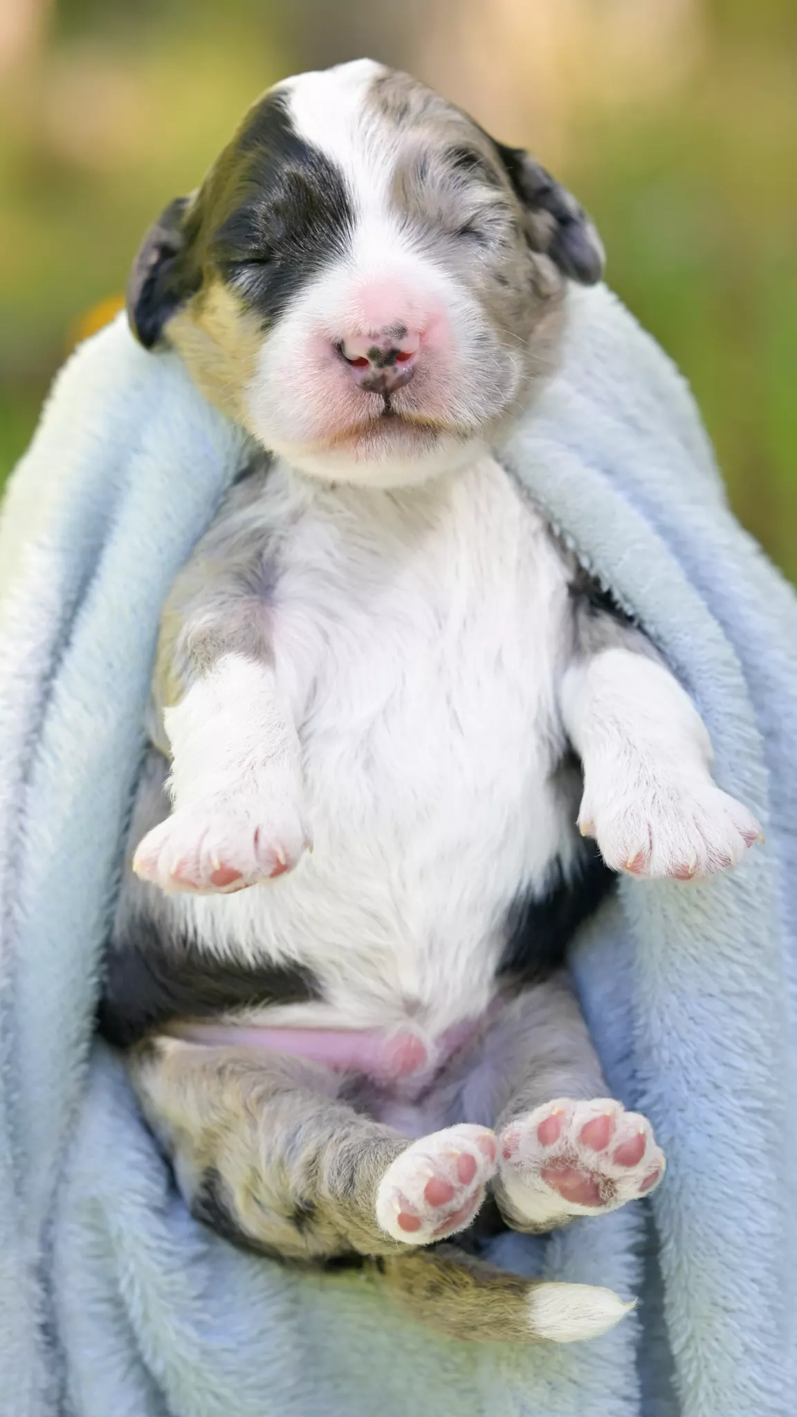 Navy – Male #2