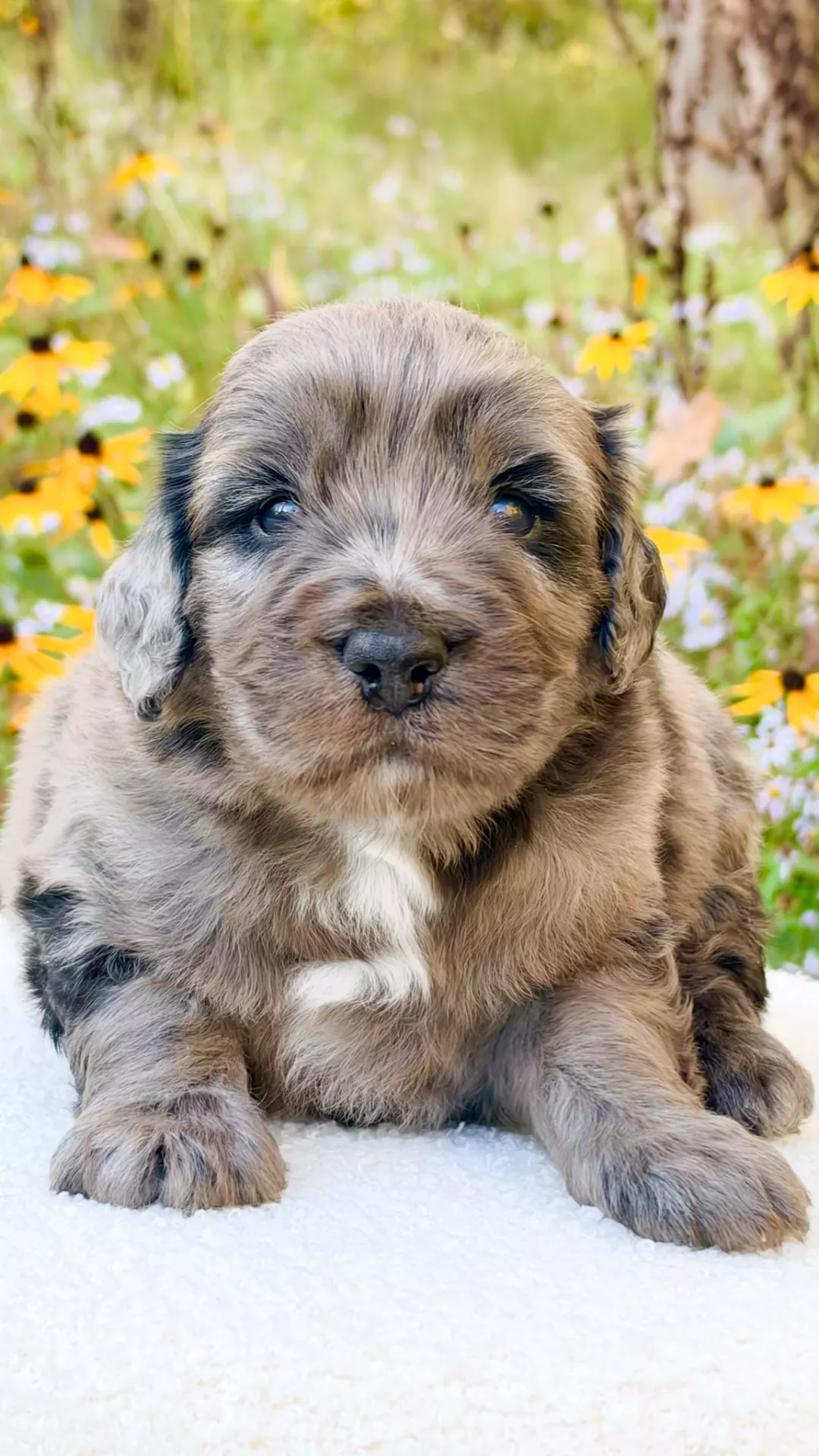 Navy – Male #3