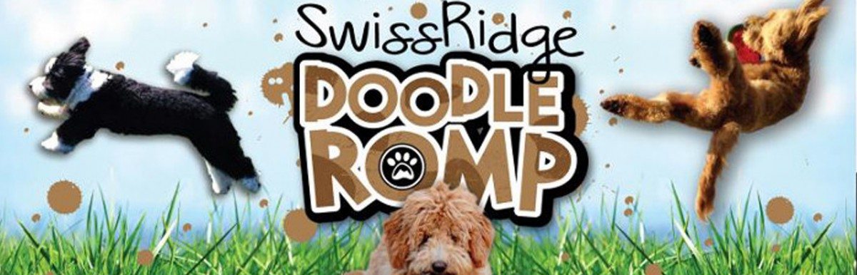 Find out what the Doodle Romp is all about!